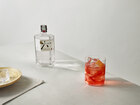 Roku_Negroni_Cocktail Lifestyle Image.jpg