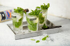 mojito_mit_flasche_1683_sRGB_DL.jpg